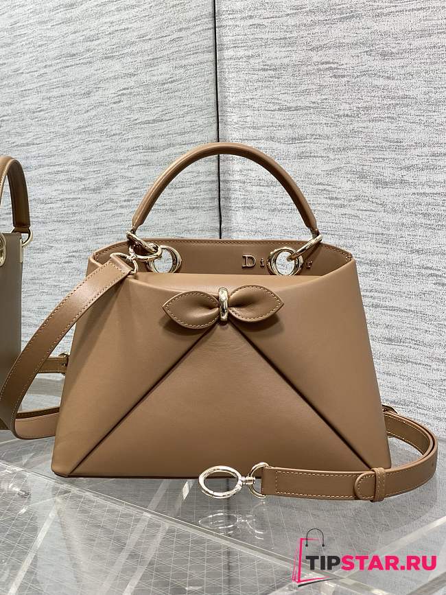 Dior Small Cigale Bag Myosotis Brown - 1