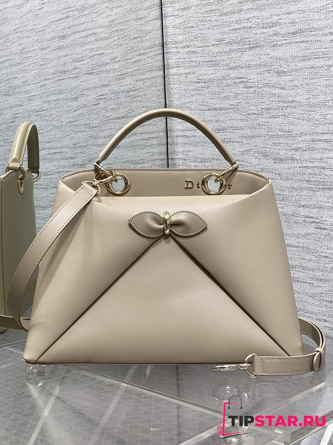 Dior Large Cigale Bag Myosotis Beige - 1