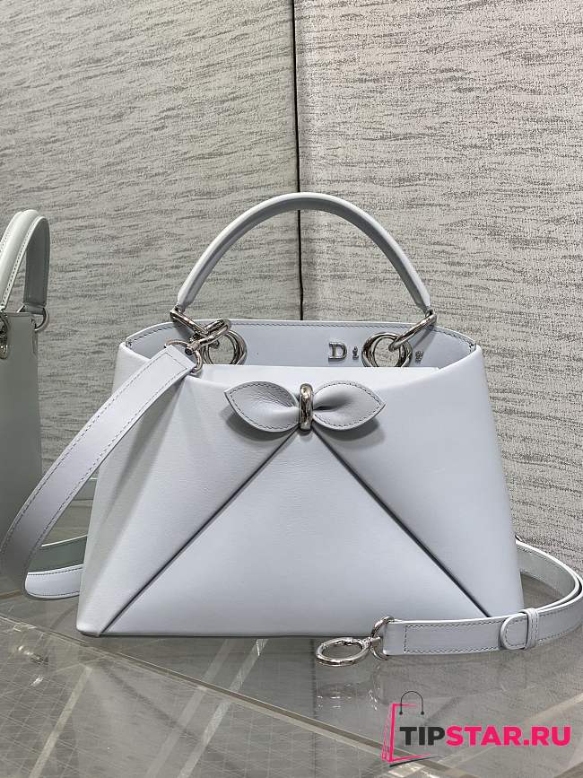 Dior Small Cigale Bag Myosotis White - 1