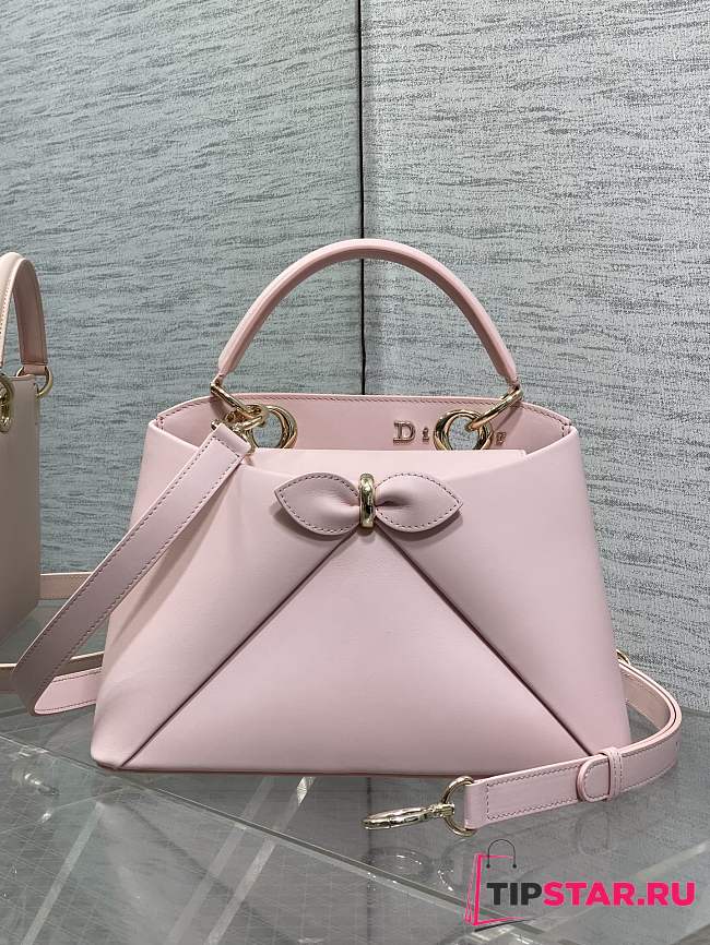 Dior Small Cigale Bag Myosotis Pink - 1