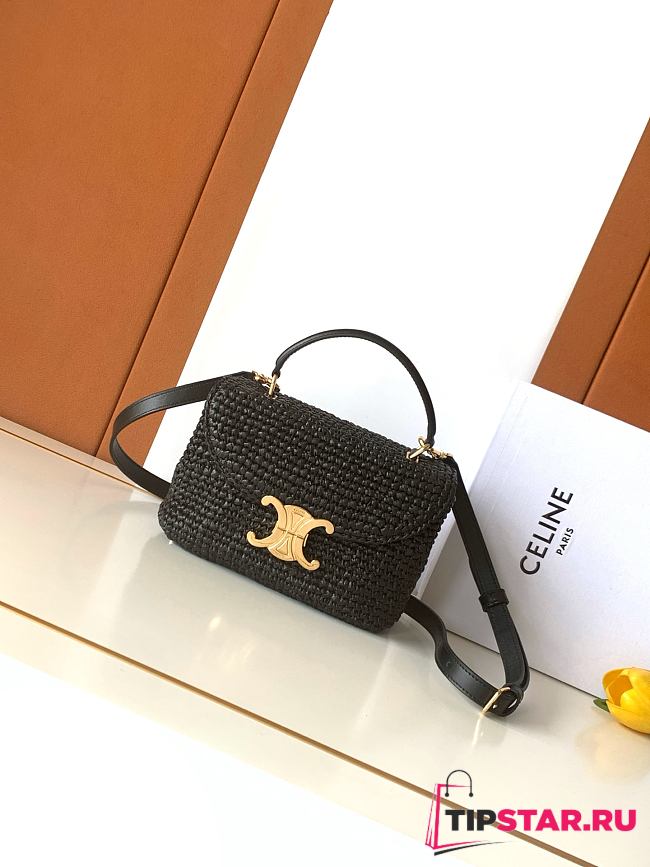 Celine Teen Nino Bag In Raffia And Calfskin Black - 1