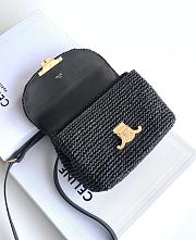 Celine Teen Nino Bag In Raffia And Calfskin Black - 2