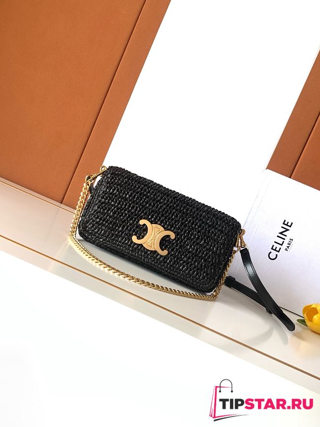 Celine Multipochette In Raffia Bag In Black - 1