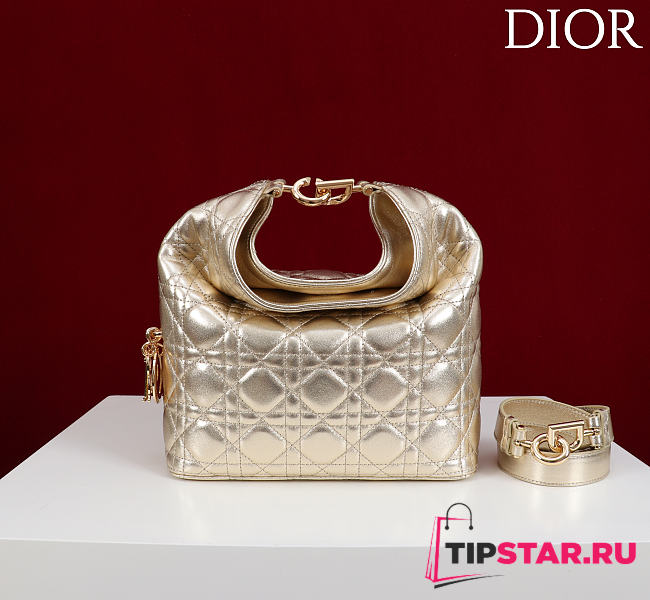 Dior De Sol Hobo Bag Leather Metallic Gold-Tone - 1