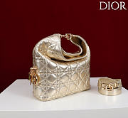 Dior De Sol Hobo Bag Leather Metallic Gold-Tone - 5
