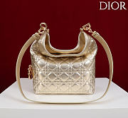 Dior De Sol Hobo Bag Leather Metallic Gold-Tone - 4