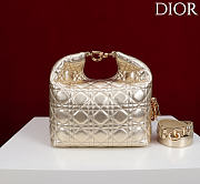 Dior De Sol Hobo Bag Leather Metallic Gold-Tone - 2