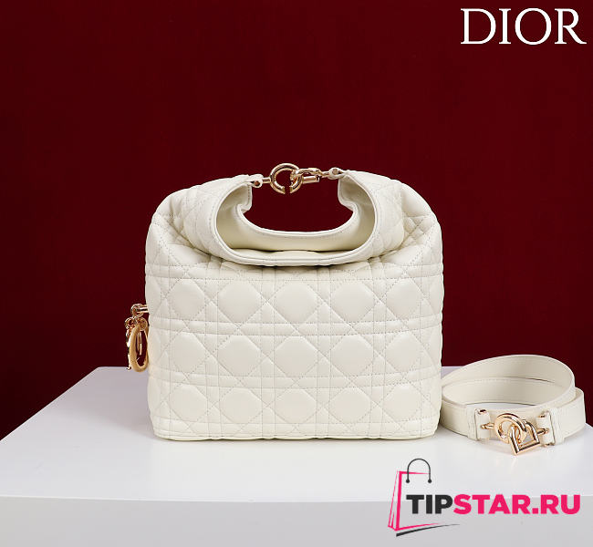 Dior De Sol Hobo Bag Leather White - 1