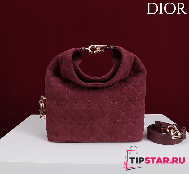 Dior De Sol Hobo Bag Suede Burgundy - 1