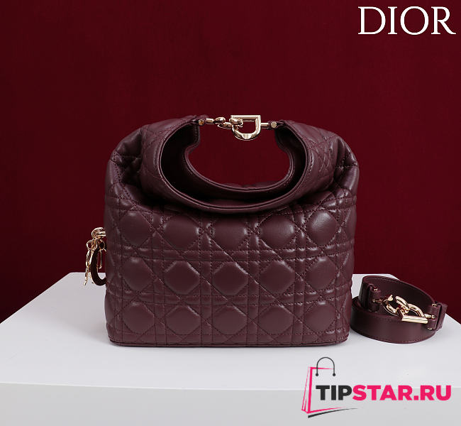 Dior De Sol Hobo Bag Leather Burgundy - 1