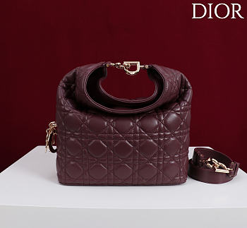 Dior De Sol Hobo Bag Leather Burgundy