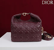 Dior De Sol Hobo Bag Leather Burgundy - 4