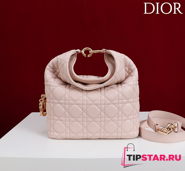 Dior De Sol Hobo Bag Leather Pink - 1