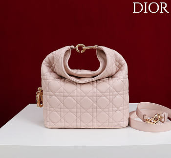 Dior De Sol Hobo Bag Leather Pink