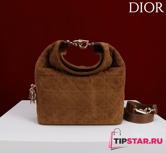 Dior De Sol Hobo Bag Suede Brown - 1