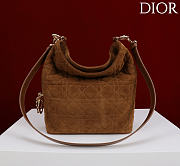 Dior De Sol Hobo Bag Suede Brown - 5