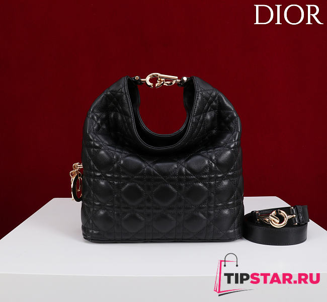 Dior De Sol Hobo Bag Leather Black - 1