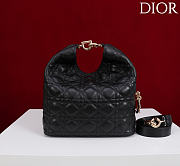 Dior De Sol Hobo Bag Leather Black - 6