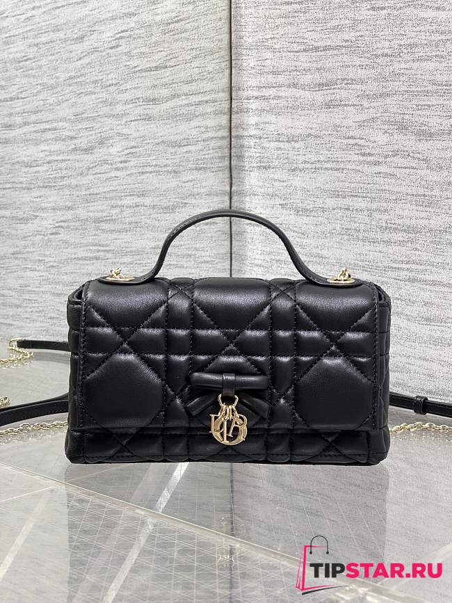My Dior Mini Bag Cannage Lambskin Gold Hardware Black - 1
