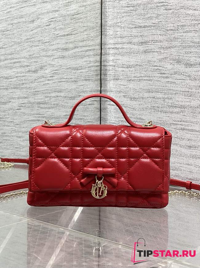 My Dior Mini Bag Cannage Lambskin Gold Hardware In Red - 1