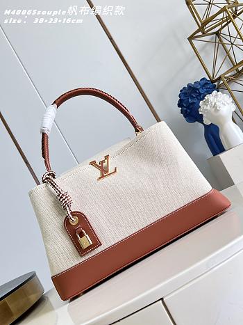 Louis Vuitton Large Capucines Souple Bag