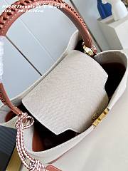 Louis Vuitton Large Capucines Souple Bag - 6