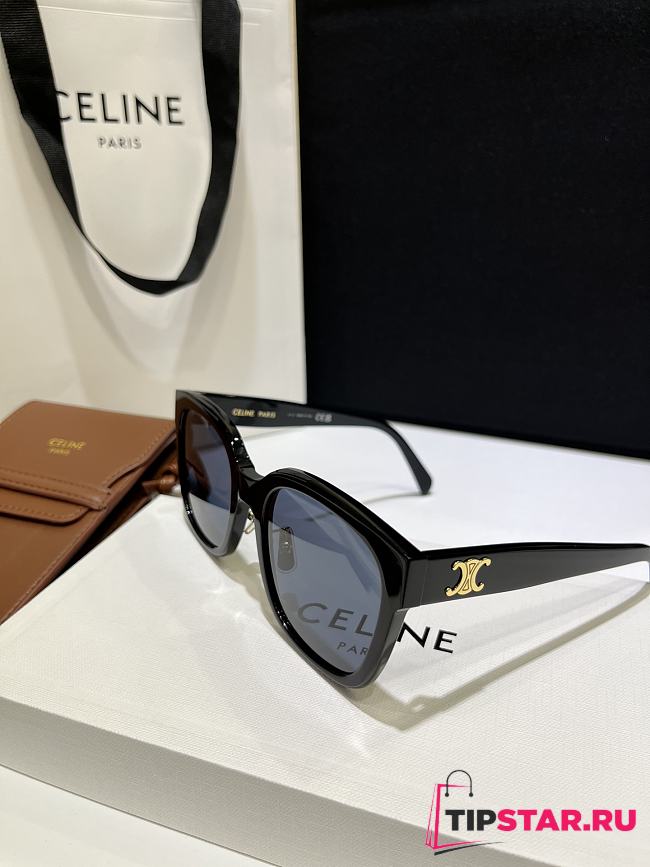 Celine Triomphe CL40222F Black - 1