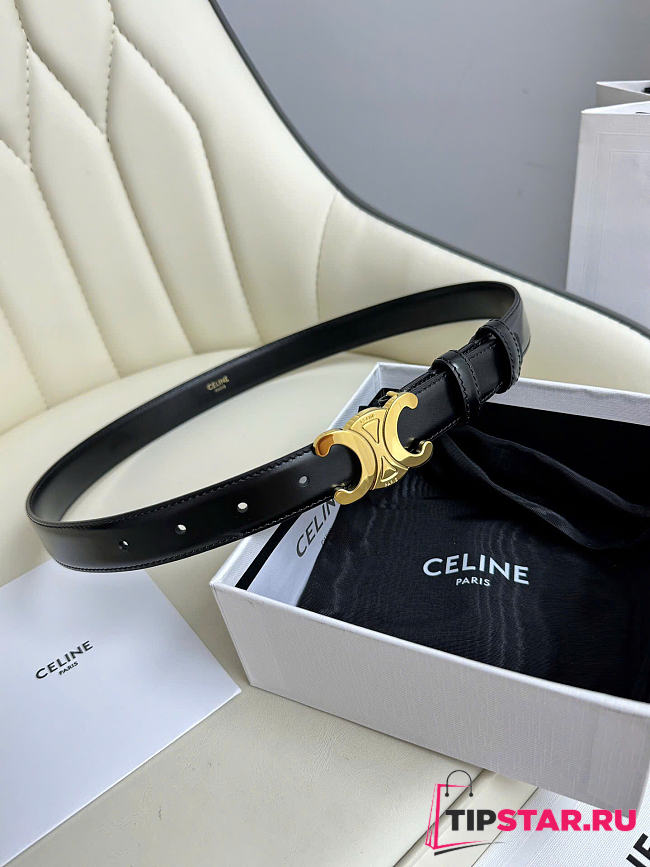 Celine Triomphe Belt In Smooth Calfskin With Gold Finish 2.5 cm - 1