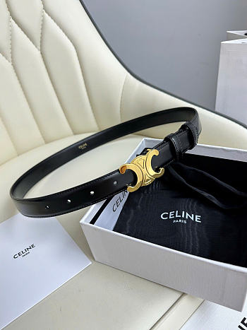 Celine Triomphe Belt In Smooth Calfskin With Gold Finish 2.5 cm