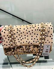 Chanel Métiers d'Art 2026 Leopard Classic Flap Bag Light Beige & Black - 3