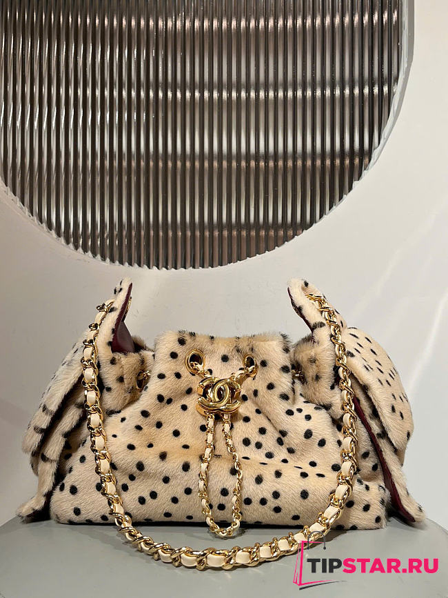 Chanel 25 Métiers d'Art 2026 Mini Bag Light Beige & Black - 1