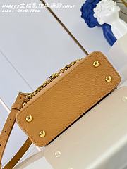 Louis Vuitton Sunbeam Capucines Mini Bag In Brown - 5
