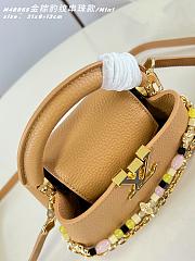 Louis Vuitton Sunbeam Capucines Mini Bag In Brown - 4