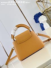 Louis Vuitton Sunbeam Capucines Mini Bag In Brown - 2
