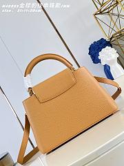 Louis Vuitton Sunbeam Capucines MM Bag In Brown - 3