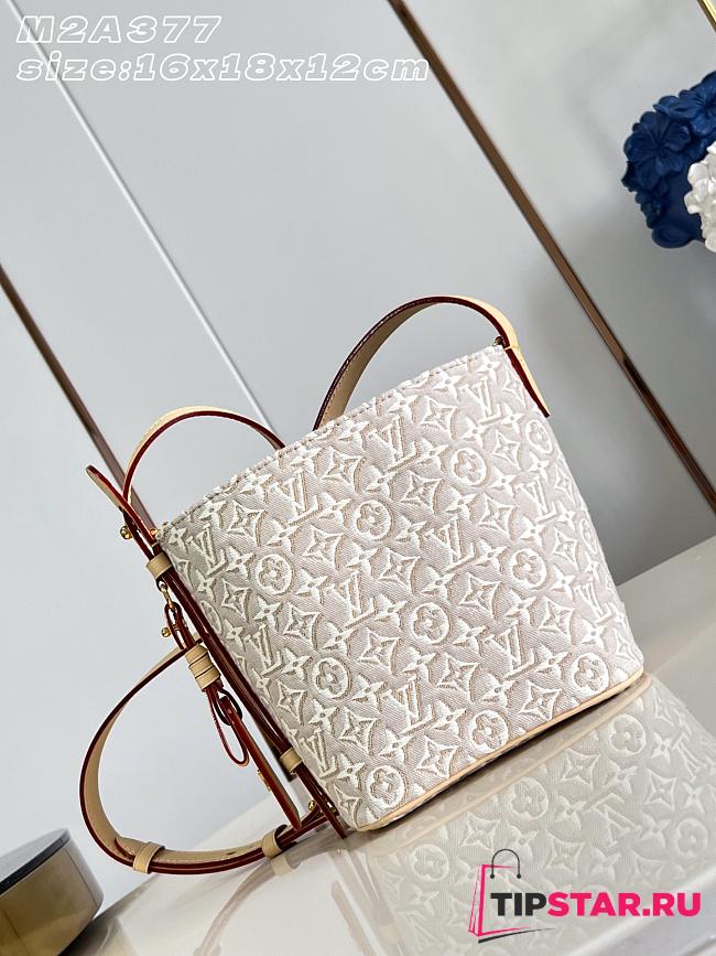 Louis Vuitton All In BB Bag Monogram Emblème Peuplier M2A377 - 1