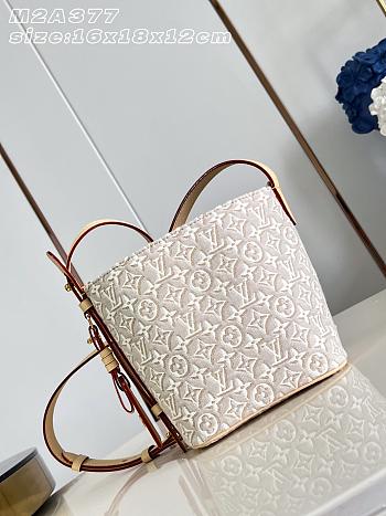 Louis Vuitton All In BB Bag Monogram Emblème Peuplier M2A377