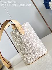 Louis Vuitton All In BB Bag Monogram Emblème Peuplier M2A377 - 2
