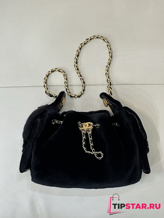 Chanel Mini 25 Hobo Bag Black Pony Hair Gold Hardware - 1