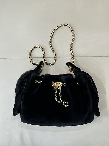 Chanel Mini 25 Hobo Bag Black Pony Hair Gold Hardware