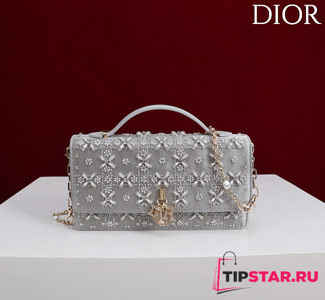 Dior Miss Embroidered Gray with Gray Bow - 1