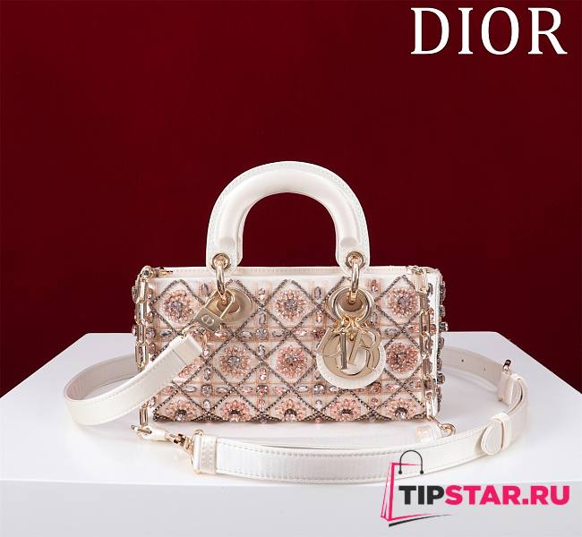 Dior Lady D-Joy Small Embroidered with Tassels Light Pink - 1