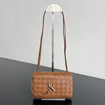 Bottega Veneta Andiamo Tannin Woven Leather Crossbody Pouch