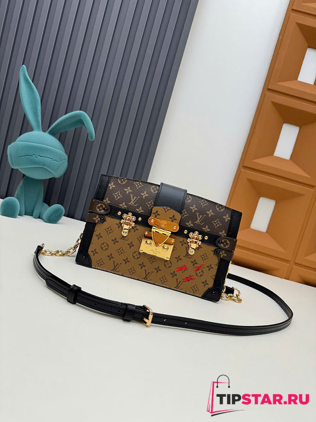 Louis Vuitton Soft Trunk Clutch Canvas Printing Handbag - 1