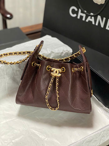 Chanel Mini 25 Hobo Bag Caviar In Brown