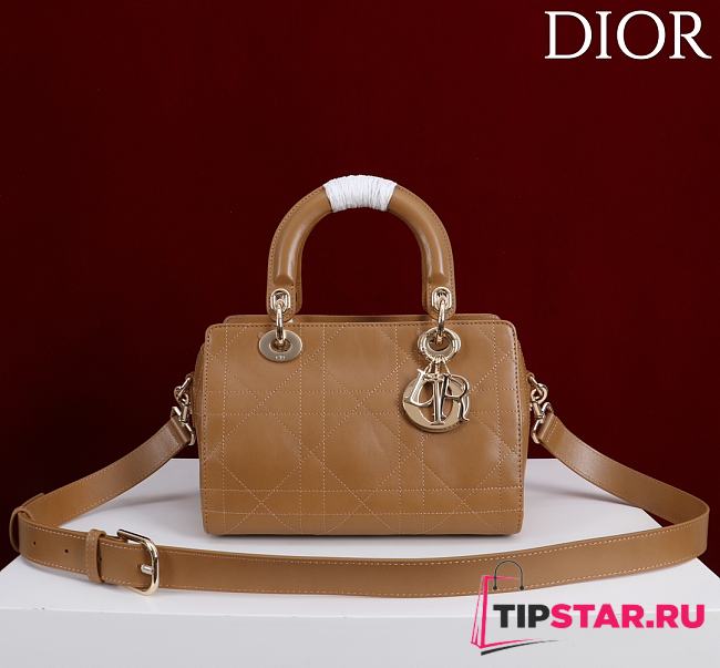 Dior Small D Granville Flat Macrocannage Gold Hardware In Tan - 1