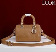 Dior Small D Granville Flat Macrocannage Gold Hardware In Tan - 1